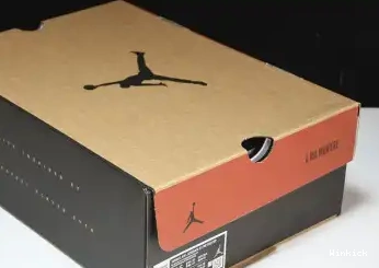 RETRO SP Jordan Air DV6989-001 WMNS AJ12 12 0603